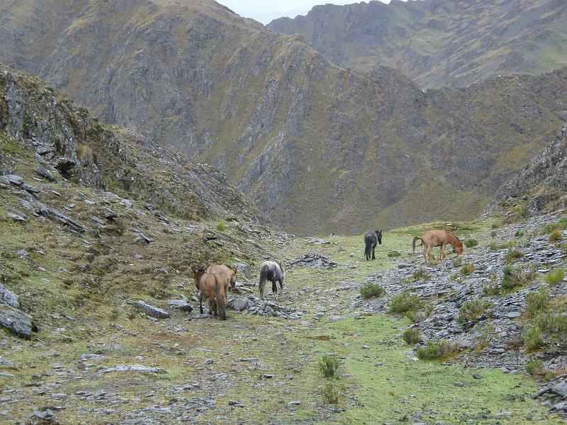 Illampu Trek (37).JPG